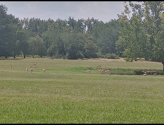 295M² VACANT LAND FOR SALE IN RISIVILLE